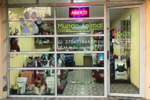 Mundo Animal