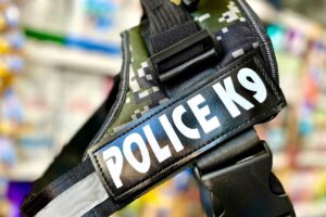 Mundo Animal Ensenada