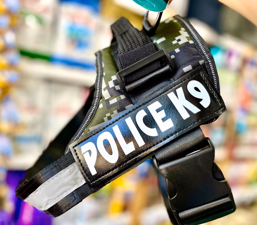 Mundo Animal Ensenada