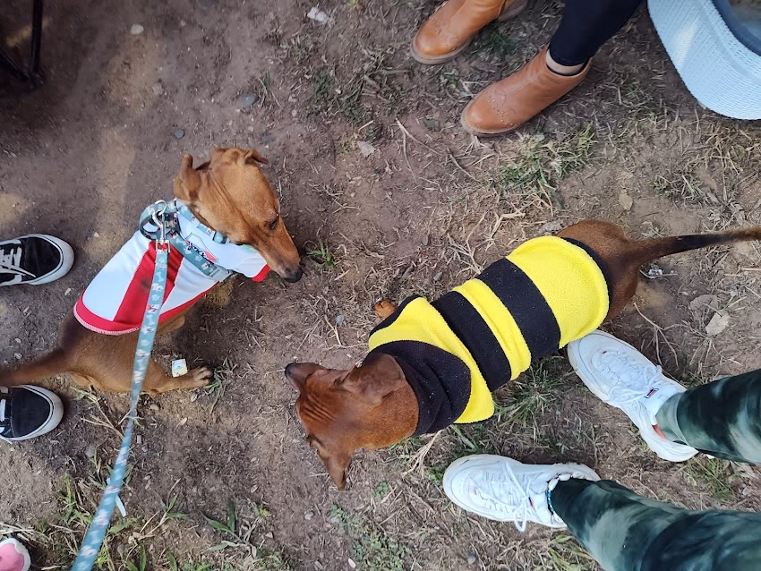 Mundo Animal Forrajeria y Pet Shop