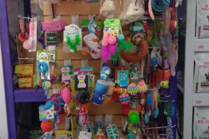 Mundo Animal Petshop cerca tuyo