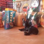 Mundo Mascota Pet Shop