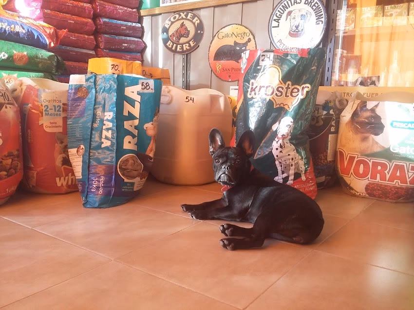 Mundo Mascota Pet Shop
