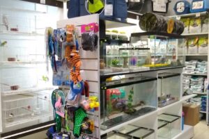 Neozoo Hiper Chango Mas