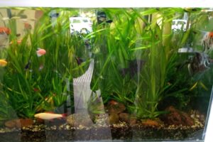 Neozoo Tienda de Mascotas