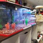 Neozoo Tienda de Mascotas