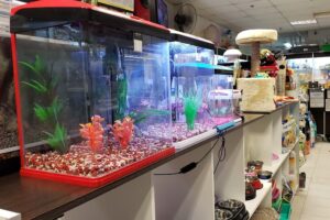 Neozoo Tienda de Mascotas