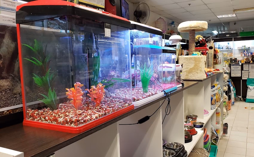 Neozoo Tienda de Mascotas