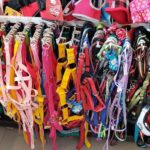 Neozoo Tiendas de Mascotas