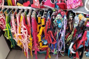 Neozoo Tiendas de Mascotas