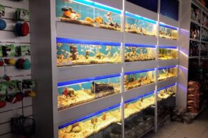 Neozoo Valle Hermoso