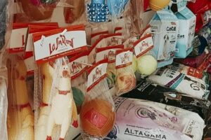 Neski Tienda de Mascotas