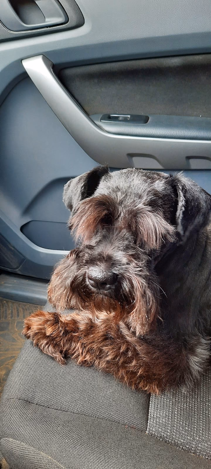 Noa Clinica Veterinaria Acuario y Peluquería Canina