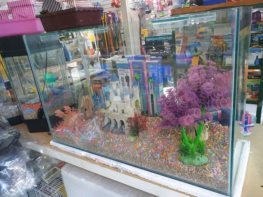 Nuevo Coral Acuario Pet Shop