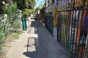 Nuevo Pet Shop Rocka alimentos para mascotas