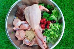 NutriMascotas Mendoza