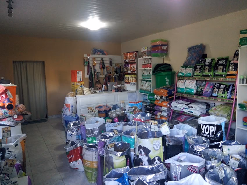 Olfato Alimentos Balanceados