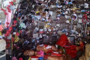 Olmos Alimentos Trinidad