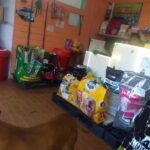 Orejas Petshop