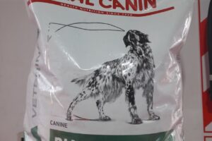 Osita pancitas felices