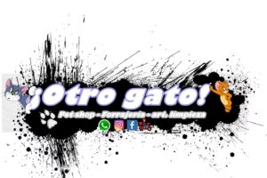 Otro Gato