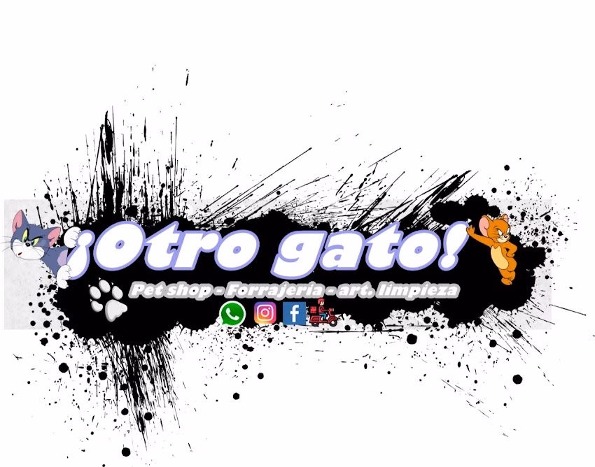 Otro Gato