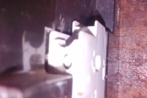 Pa Du Forrajeria Descartables Acuario