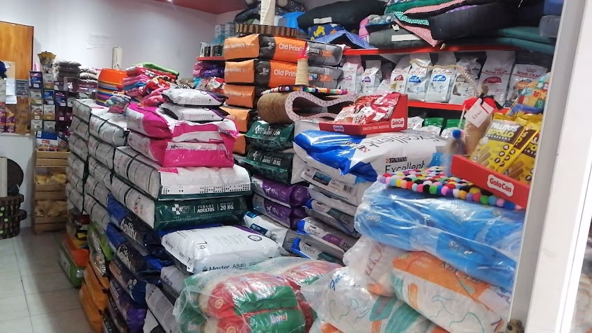 Pajaro loco pet store 11