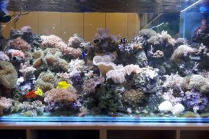 Palacio de la Mascota