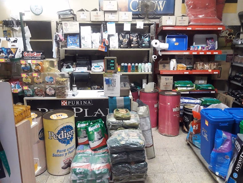 Papaio El Lugar De Tus Mascotas Alimentos Accessorios