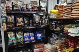 Paseo de las Mascotas Coto 3 de Febrero