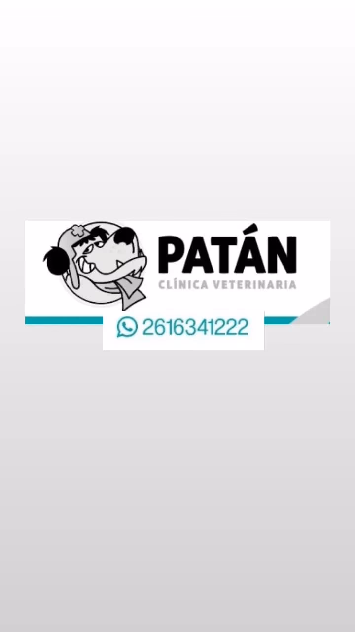 Patán Clínica Veterinaria