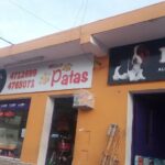 Patas