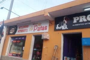 Patas