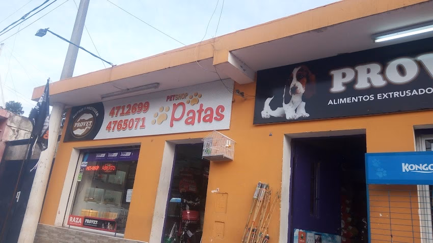 Patas