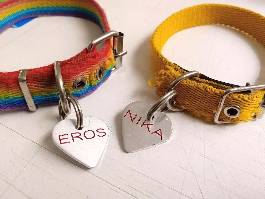 Paws Pet Market Colegiales