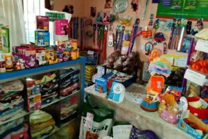 Peluditos Peluquería Canina y huellitas style Petshop