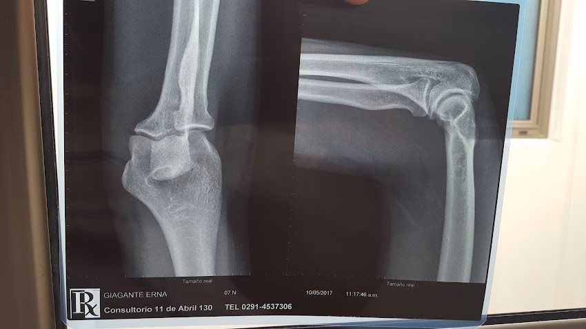 Peludos Tienda de Mascotas