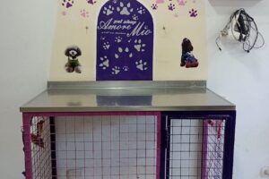 Peluqueria Canina Amore Mío