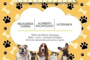 Peluquería canina Animal Lover