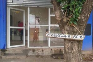 Peluqueria canina Berazategui