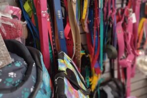 Peluqueria canina del maurette