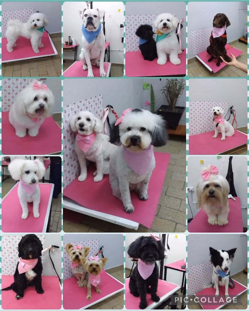 Peluquería canina Happy Pupys Shop