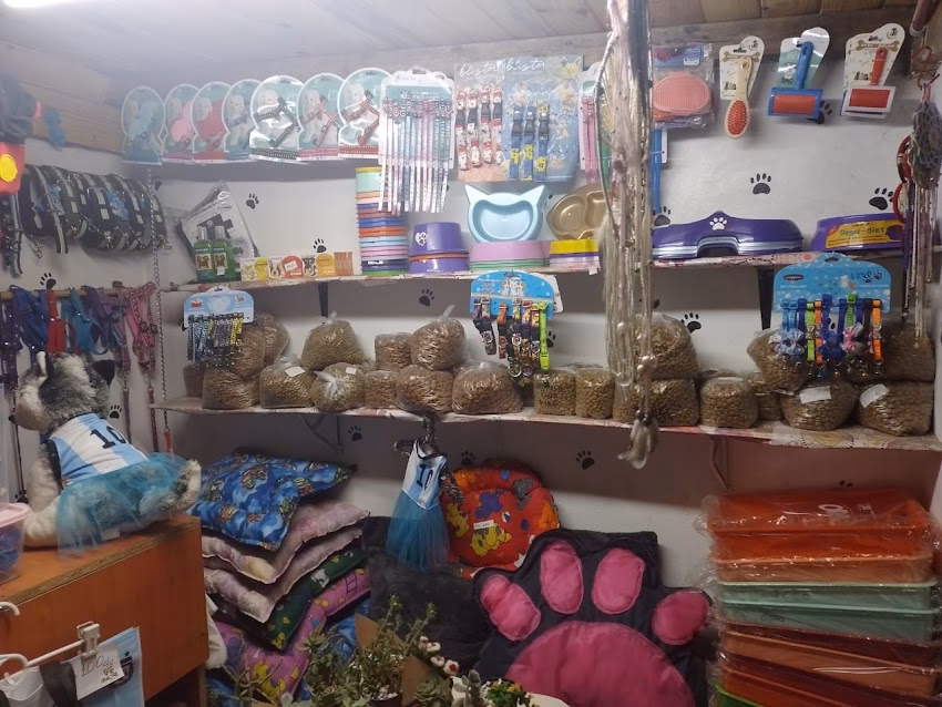 Peluquería canina kasoal pets