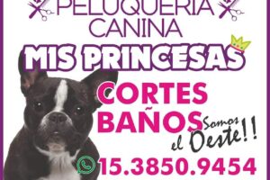 Peluqueria Canina Mis Princesas
