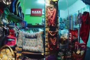 Peluqueria Canina Ponme Pechocho