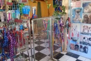 Peluquería canina Primeyol