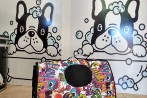 Peluquería canina Stilo Can