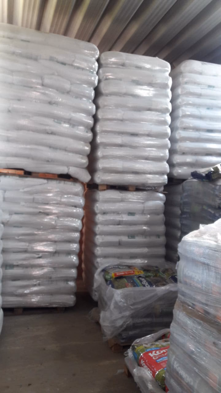 Pensando en Mascotas