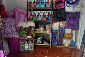 Pequeños Animalados 2